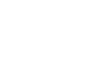Logo_Skindustries-alternatief-white-RGB