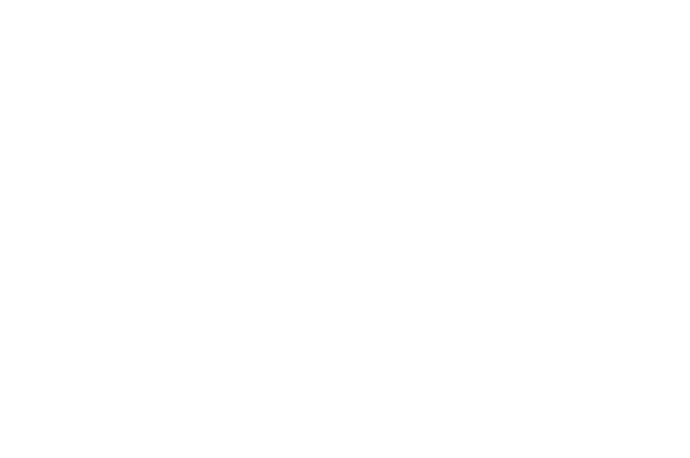 Logo_Skindustries-alternatief-white-RGB